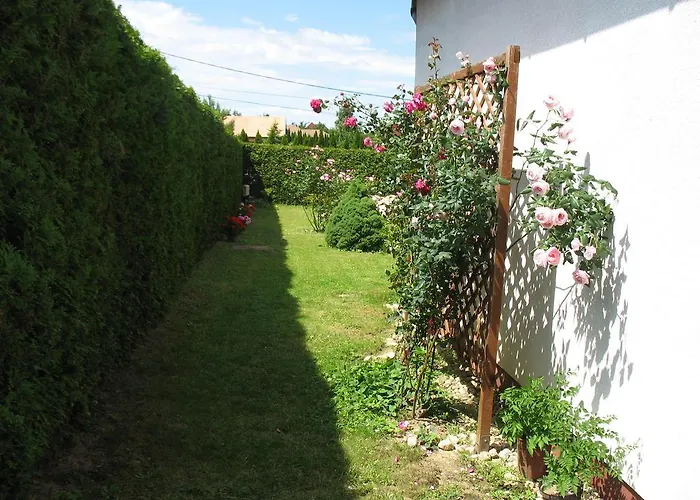 Apartman Doina *